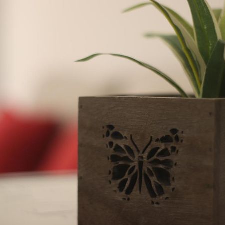 Apartamento Pleno Centro Junto Ayuntamiento Logroño Dış mekan fotoğraf